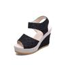 Shoes for Women Plus Size 35-40 2025 Summer Elegant Women Platform Sadals Non-slip Wedges Sandalias Mujer Casual Beach Shoes