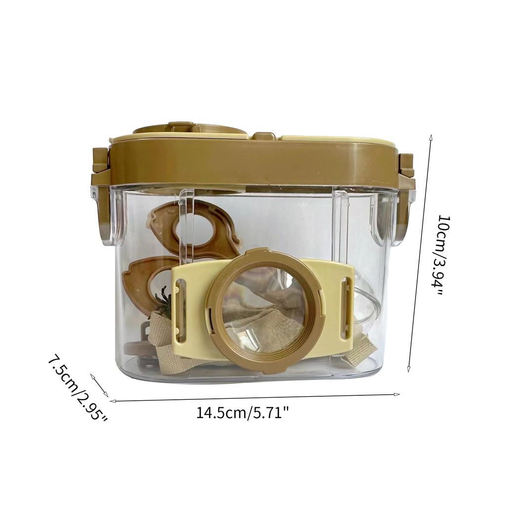 To Be an Insect Explorer Kit Bug Hunting Kit Early Childhood Education Outdoor Toy Bug Catcher Toy Set