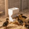 Trough Shape Chicken Hanging Trough Anti-Spill Wall Mount Bird Feeder Poultry Feeder  Farm