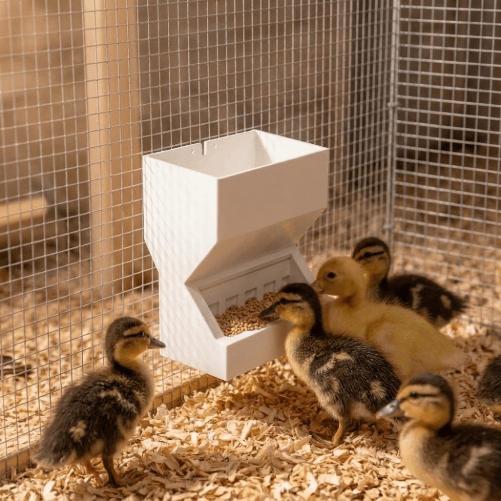 Trough Shape Chicken Hanging Trough Anti-Spill Wall Mount Bird Feeder Poultry Feeder Farm