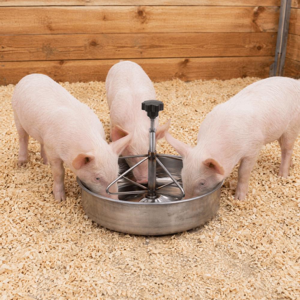 Stainless Steel 201 Livestock Feeding Trough Durable Pig Feed Trough Farm Use