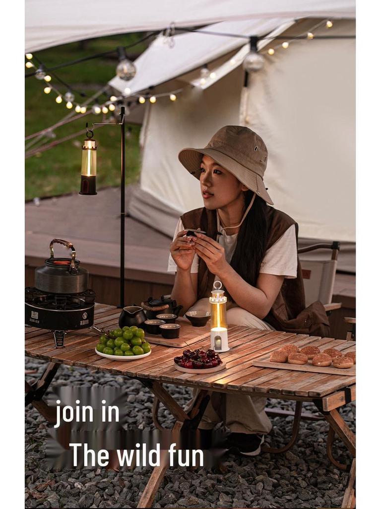 Retro Multi-functional Outdoor Camping Gas Lantern – Hanging Tent Lamp & Handheld Light