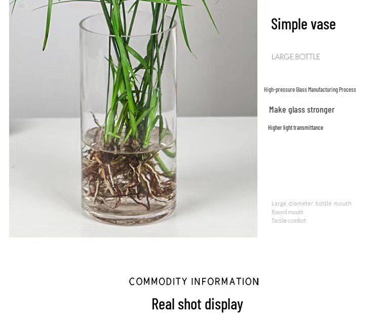 Hydroponic Lucky Bamboo and Aquatic Grass for Fish Tanks and Ponds