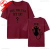 HAVE YOU SEEN MY CAT  Halloween Cat Tshirt Funny Spooky Funy Person Tee Gift Cat Shirt for Women Men Letter Pattern Print Tees