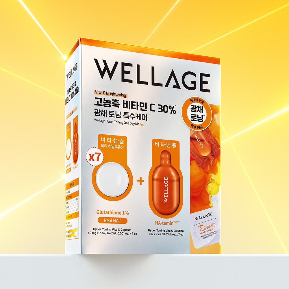 Wellage One Day Kit Capsule Ampoule 7ea 4types Pdrn Hyaluronic Cica Toning