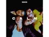 5 Seconds Of Summer CALM С БОНУС-ТРЕКАМИ ЯПОНСКОЕ CD+DVD ИЗДАНИЕ UICS-9163 НОВИНКА