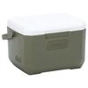 COLEMAN Cooler Box Take 6 Approx. 4.7L 2000036684