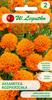 Marigold Flower Seeds Orange For Balcony Terrace
