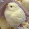 Handmade Soft Silicone Cute Chick Squeeze Toys Toys Recommended To Play In Bags Without Dirty Hands Super Soft Toys for Parties