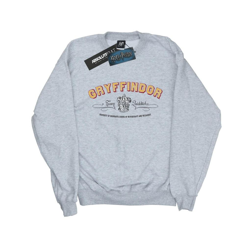 HARRY POTTER Boys Gryffindor Team Quidditch Sweatshirt