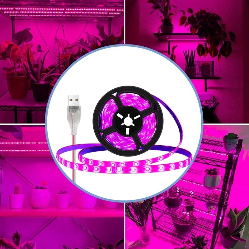 5M 2835 SMD LED Grow Light Full Spectrum USB Grow Light Strip Phyto Lamps Plant Growth Light for Plants Greenhouse Hydroponic Growing