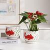 Creative Pattern Ceramic Flower Pot with Tray