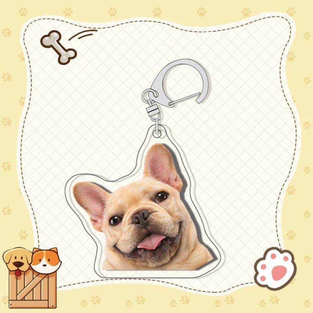 Samoyed Labrador Puppy Pendant Husky Acrylic Corgi Keyring Border Collie Dog Keychain  Unisex