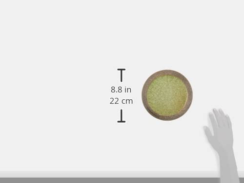 Utsuwa Roan Seto Ware Slate Plate, Round, Approx. 22cm, Sieg Rich Monet Green, Made in Japan, 156-0029