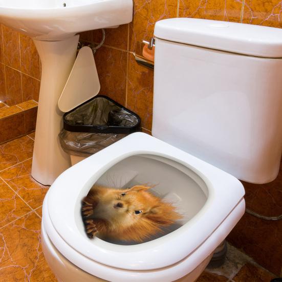 Наклейка на крышку унитаза, сильная липкость, ПВХ, водонепроницаемая, съемная, забавная 3D наклейка с белкой и животным, наклейка на стену