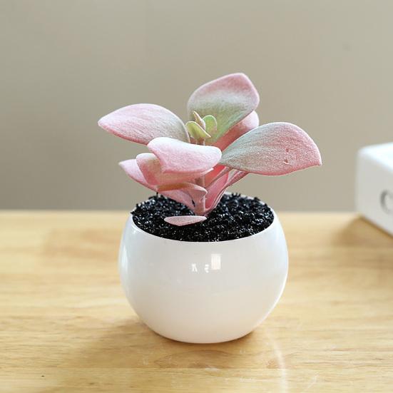 Fake Potted Plant Weather Resistant Photo Props Wide Application Excellent Mini Succulents Desk Office Potted Home Accessories
