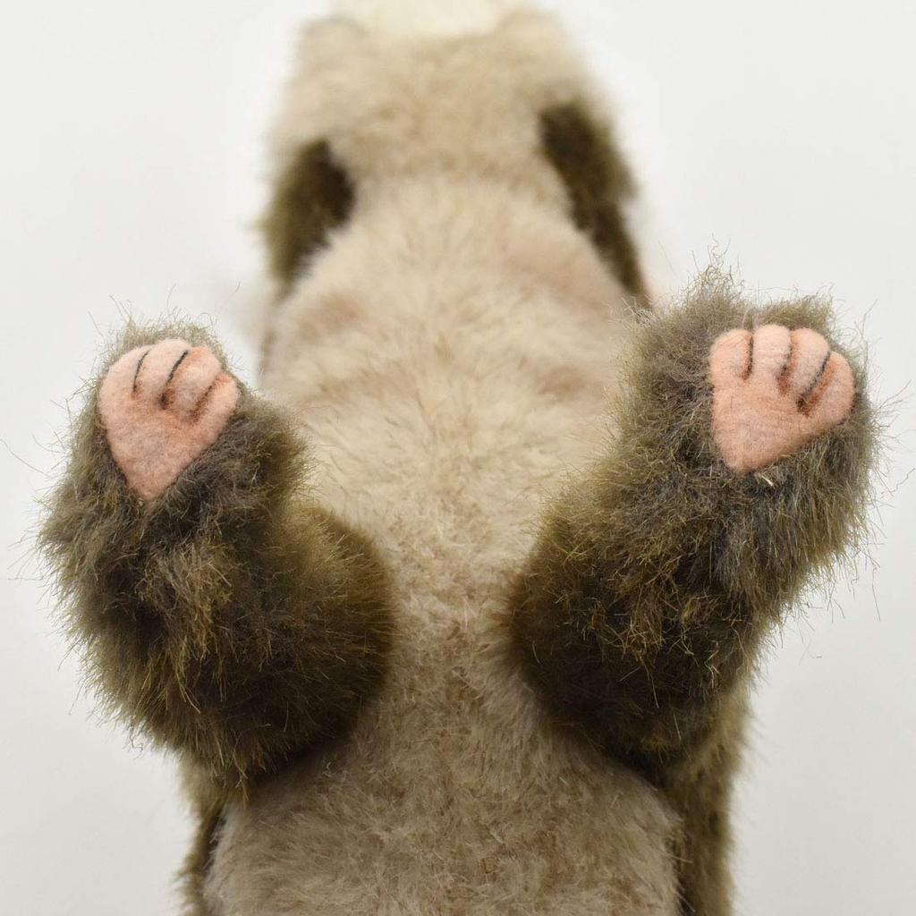 BH6310 HANSA Ferret 56