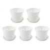 Pots 5.5inch Plastic Orchid Pots with Holes and SaucersSlotted 1/5 Pack