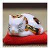 Украшение Lucky Cat Kutani Ware Chibi Sleeping Cat Golden Calico Открытие празднования дня рождения Подарок