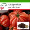 Помидор - Costoluto Genovese - 10 семян - С горшечным субстратом для лучшего выращивания - Lycopersicon esculentum
