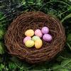 80 шт. пасхальная имитация маленьких птичьих яиц