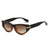 European And American New Cat'S Eye Triangle Internet Celebrity Sunglasses Women'S Versatile Personality Fashion Street Sunglasses