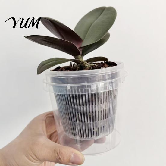 Portable Courtyard Flowerpot Clear Plant Pot with Water Reservoir, Plastic Self Watering Planter, Slotted Inner Pot, Root Control Flower Breathable
