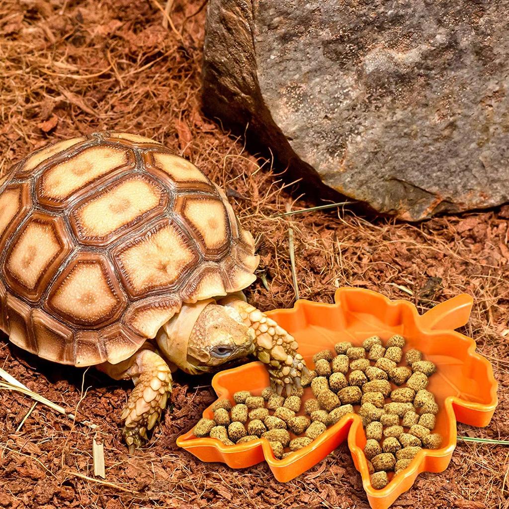 Reptile Food Bowl Lizard Gecko Food Water Dish Bearded Dragon Feeding Dish Plastic Worm Dish for Anoles Turtles