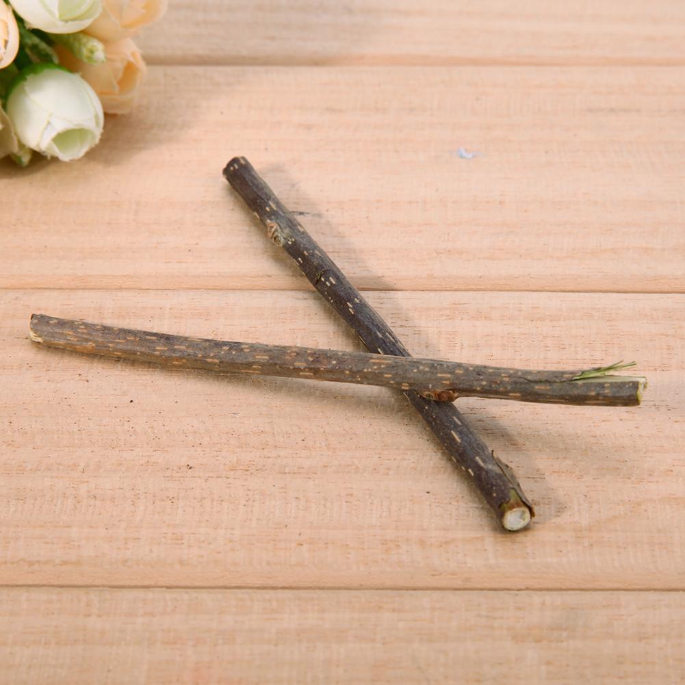 10/20/30/50Pcs Natural Silvervine Catnip Cat Chew Toy Suit Silvervine Cat Snacks Stick Safety Molar Toothpaste Sticks Pet Supply