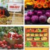 10 шт. Двусторонний зажим-бирка для офиса, бизнеса, магазина, супермаркета, выставок