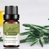 10 мл эфирного масла розмарина увлажняющее розмариновое одинарное массажное масло для красоты