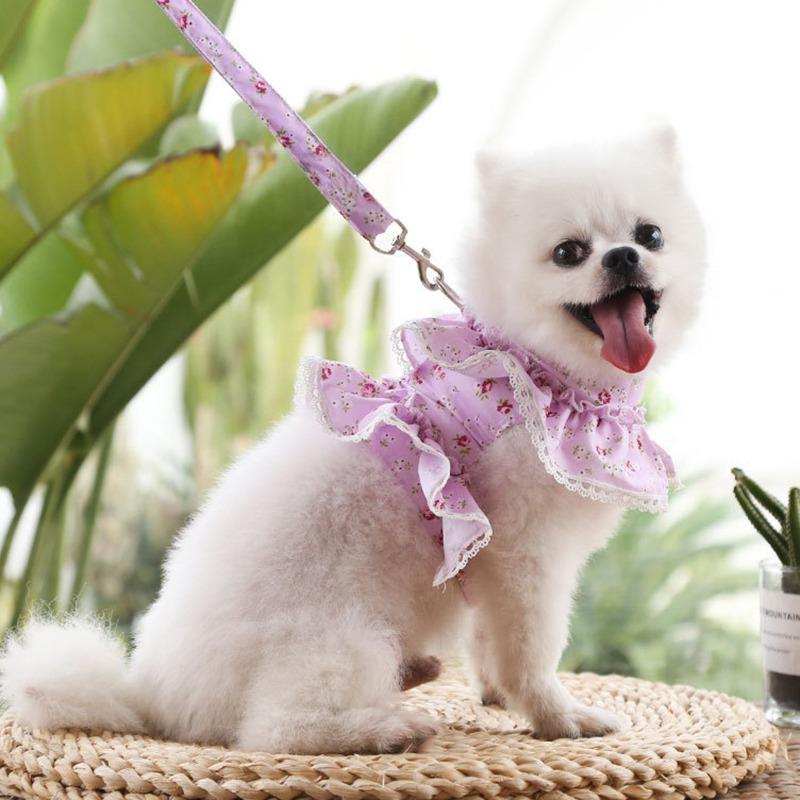 Платье-шлейка с поводком для маленьких собак, кошек, с цветочным принтом "маргаритка", для девочек, милая одежда принцессы для щенка, весна-лето, дышащая