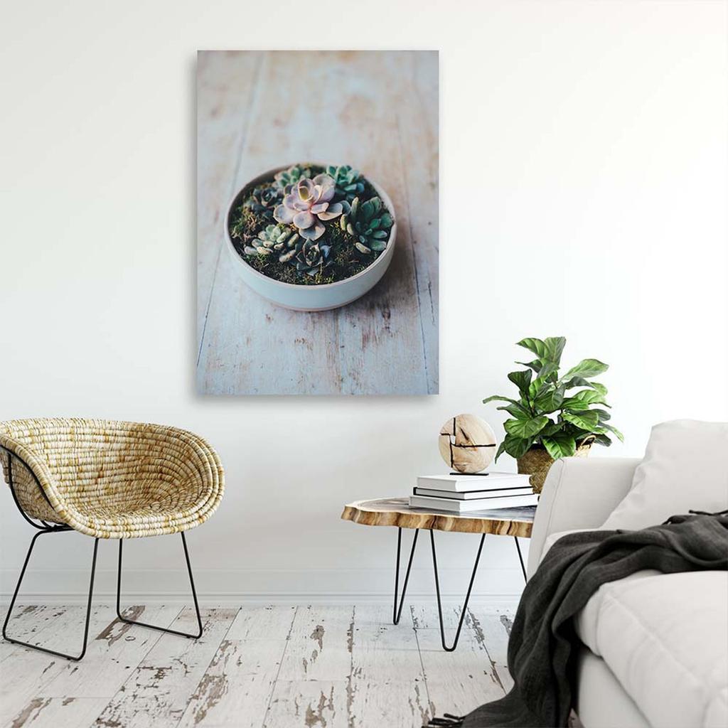 Canvas print, Plants in a pot