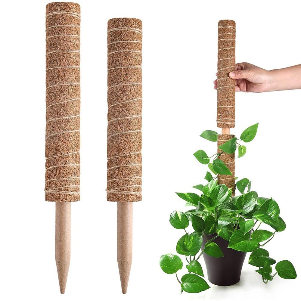 Sturdy Plant Support Stakes 30/40/50cm Moss Sticks Durable Coir Totem Poles  Potted Plants