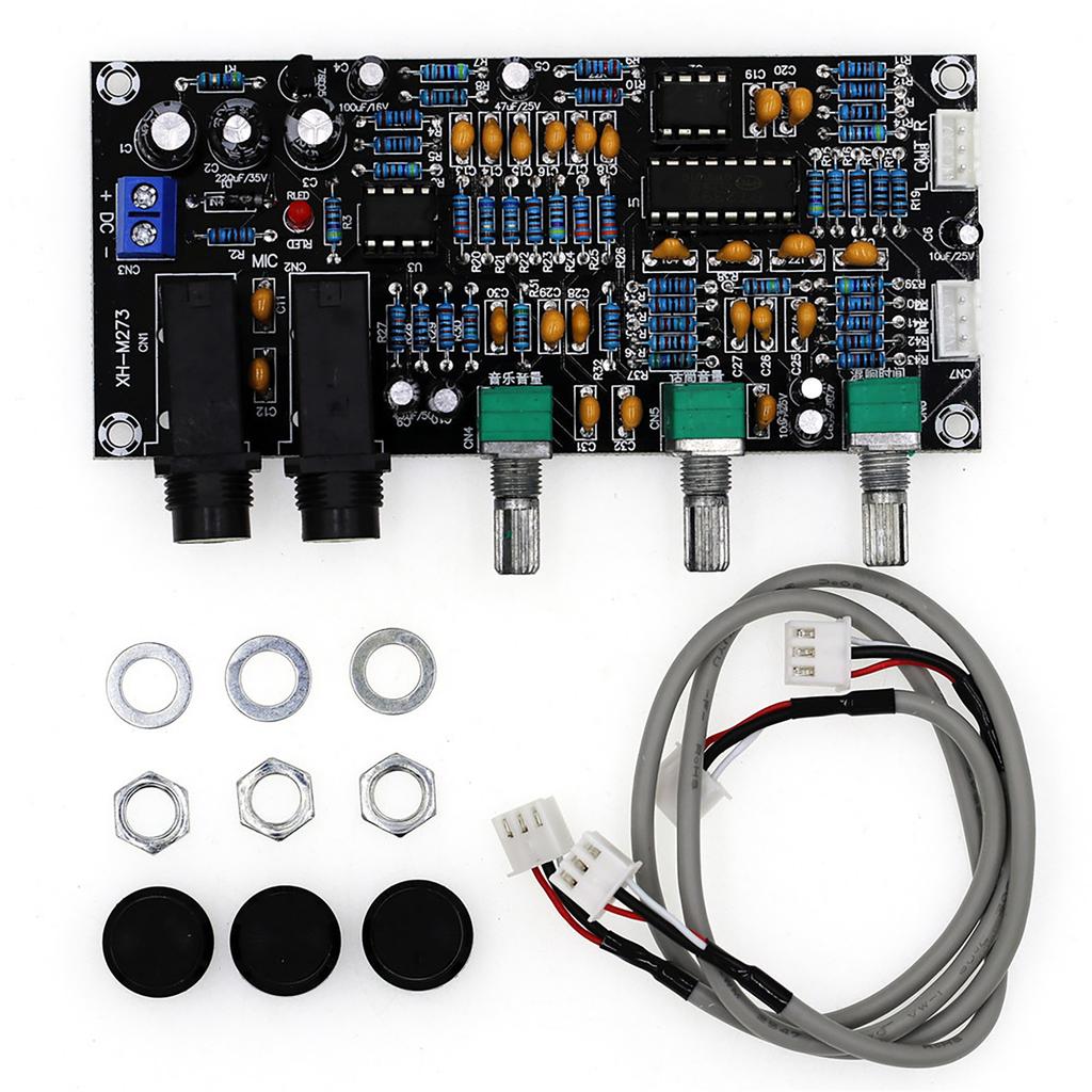 XR-M273 Караоке Усилитель Модуль Слуховой Усилитель Плата DC12-24V Для Домашних Развлечений И Малых Сценических Выступлений