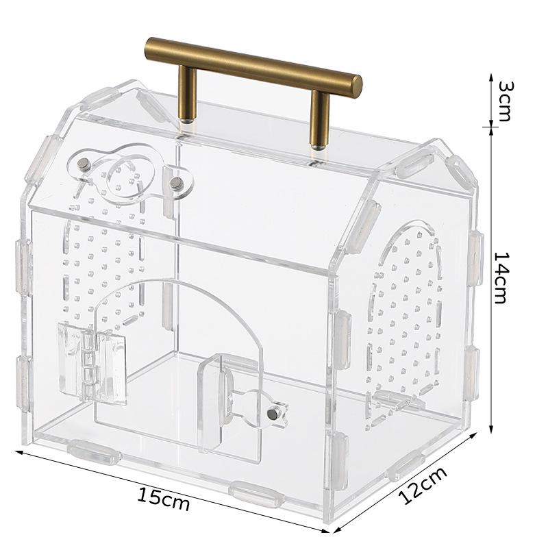 Small Acrylic Reptile Habitat: Transparent Observation Box for Spider, Lizard, Mantis, and Rainforest Landscape