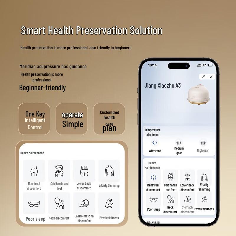 Breo Smart Bian Stone Moxibustion Massager A3 CN plug (adapter included)