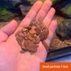 Pine Bark Reptile Substrate: Ideal for Tortoises, Lizards, Snakes, and Geckos - Perfect for Forest Floor Landscaping