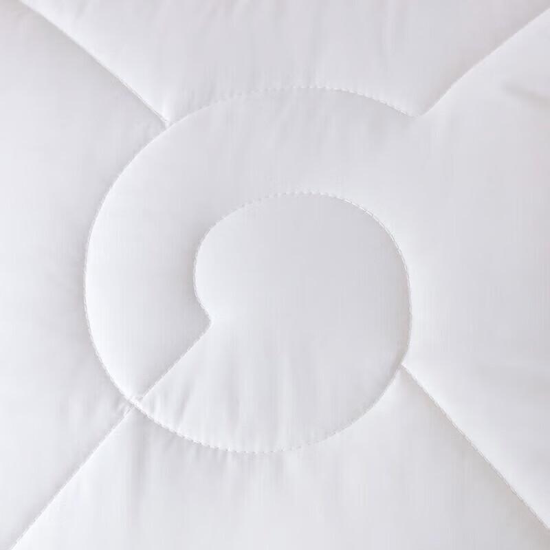 Mercury Home Textiles Anti-Mite & Antibacterial Quilt