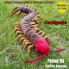 Реалистичная Многоножка Высококачественная Плюшевая Многоножка Scolopendra heros Плюшевые Игрушки Животные Похожие на Настоящих Симуляция Плюшевая Кукла Игрушка