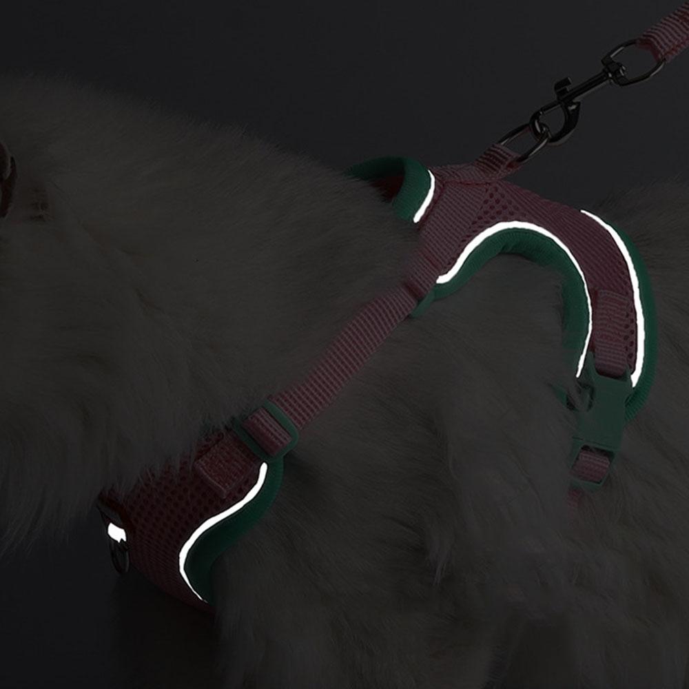 Kitten & Small Dog Harness, Anti-Escape Outdoor Pet Chest Strap, Secure for Walking, Adjustable & Comfortable