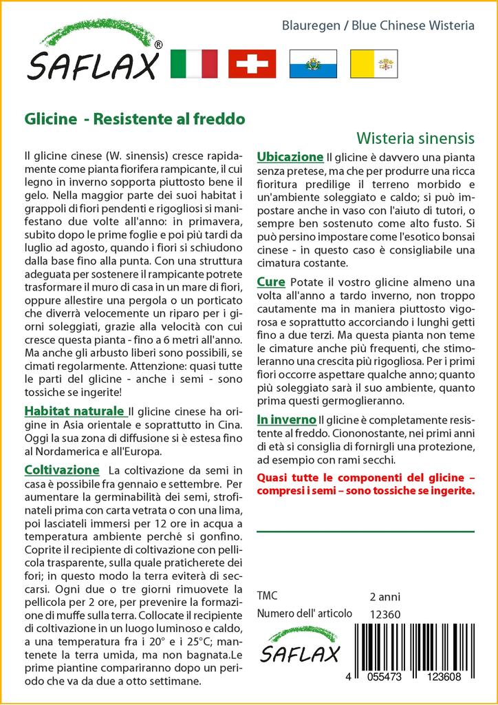 SAFLAX Глициния китайская голубая - 4 семени - Wisteria sinensis