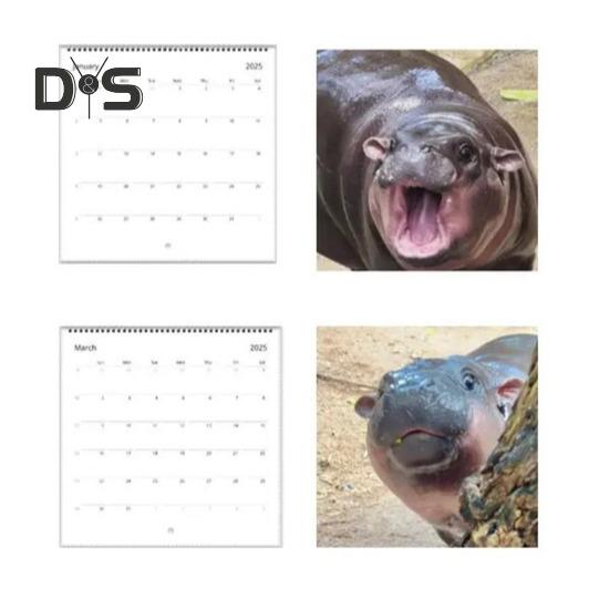 Настенный календарь с изображением бегемота 2025 года, ежемесячный календарь с изображениями карликового бегемота, подвесной календарь с изображением бегемота, подарок для семьи, друзей, любителей животных