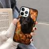 Черный лабрадор-ретривер Животное Собака Чехол для телефона для iPhone 17 Air 16 16e 15 Plus для Apple 13 11 12 14 Pro Max Чехол