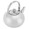 20cm/7.9in Stainless Steel Teapot Removable Infuser Water Kettle Loose Leaf Teapot  Kitchen