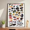 Whale and Shark Seashells Turtles Octopus Fish Marine Life Ocean Animals Poster and Print Canvas Painting  Wall Art Home Living Room