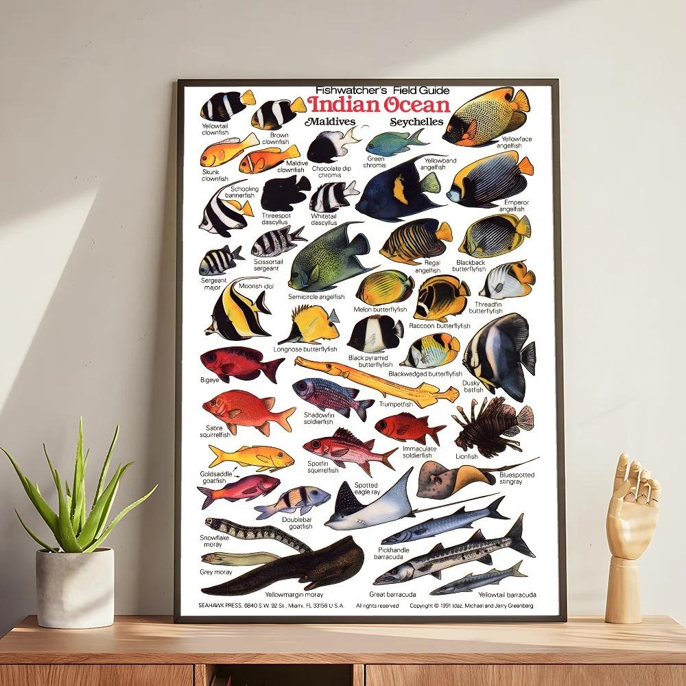 Whale and Shark Seashells Turtles Octopus Fish Marine Life Ocean Animals Poster and Print Canvas Painting Wall Art Home Living Room