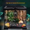 Ceramic Reptile Heating Lamp,E27 Heater Guard Holder with Power Switch,100W Infrared Reptile Heat Light Bulb for Tortoise/Lizard/Snake/Frog,UK