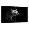 2x GLASS PROTECTIVE PLATE FOR STOVE 40x52 CAT