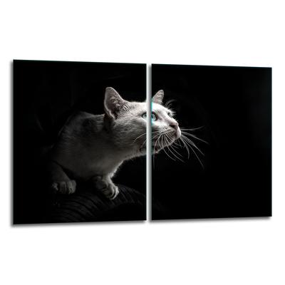 2x GLASS PROTECTIVE PLATE FOR STOVE 40x52 CAT